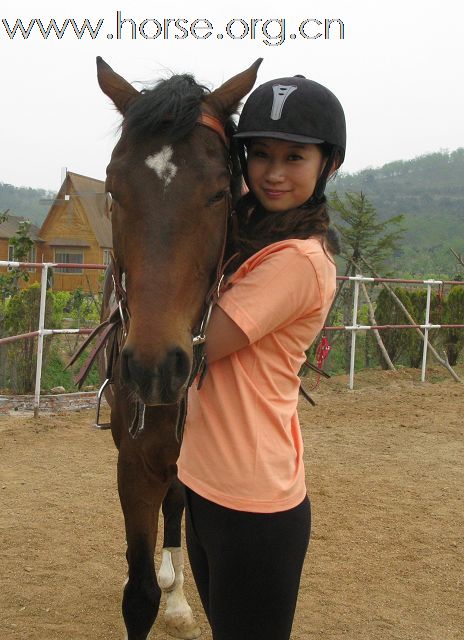 蒙山高 沂水长 ，骏马飞来马蹄香