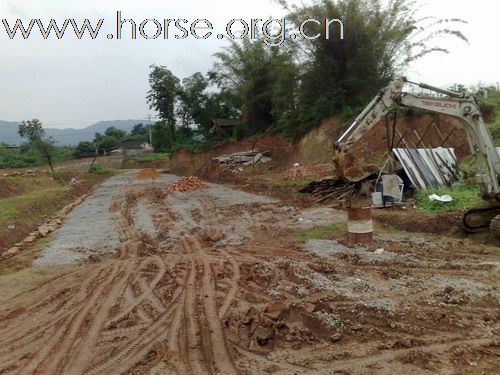 为了爱，再苦再难重庆马友们继续雄起后续报道