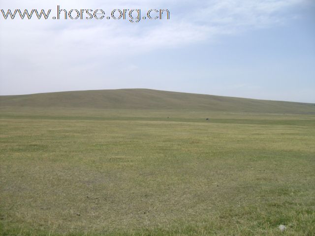 燕龙马业公司良种马繁育基地（一期）建成投入使用