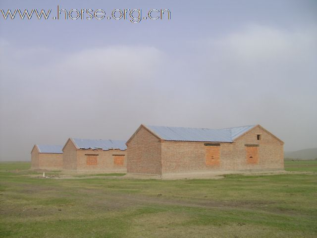 燕龙马业公司良种马繁育基地（一期）建成投入使用