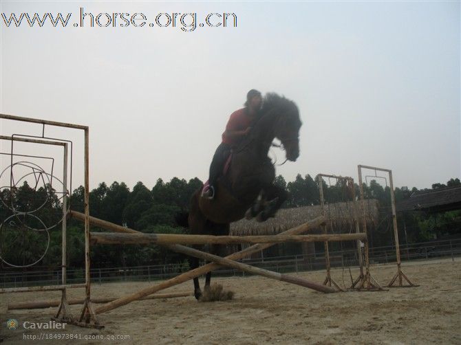 东北人在广州玩马