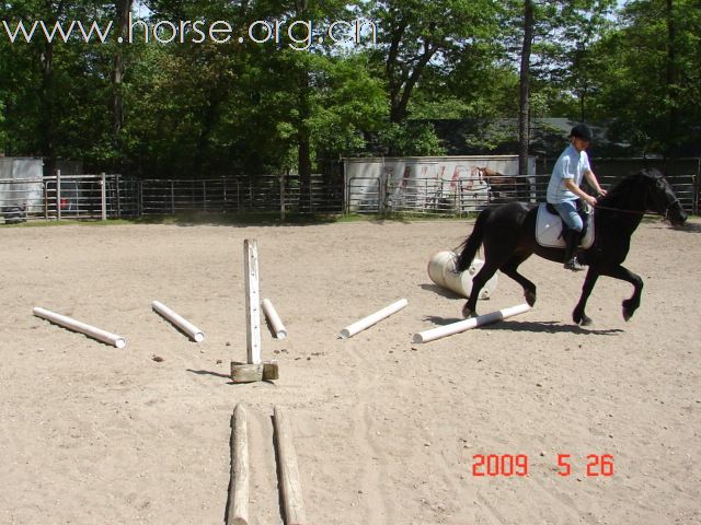 让马走圆怎么这样难