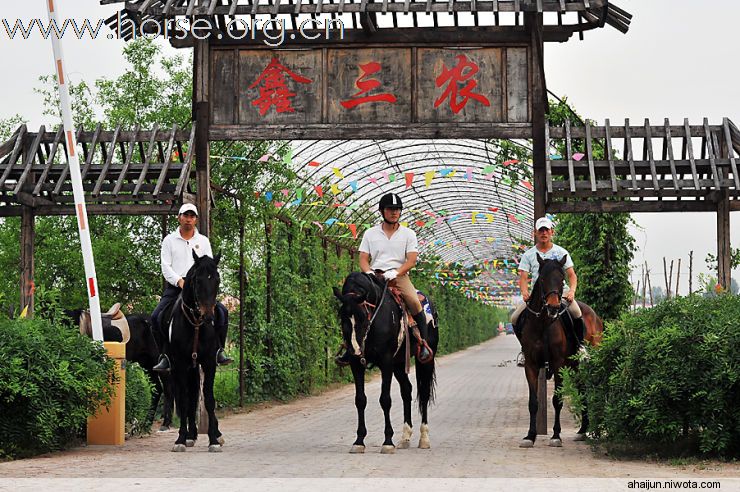 天津骑马者的乐园
