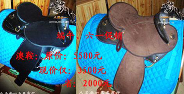 迎端午庆六一联动，马具特价风暴