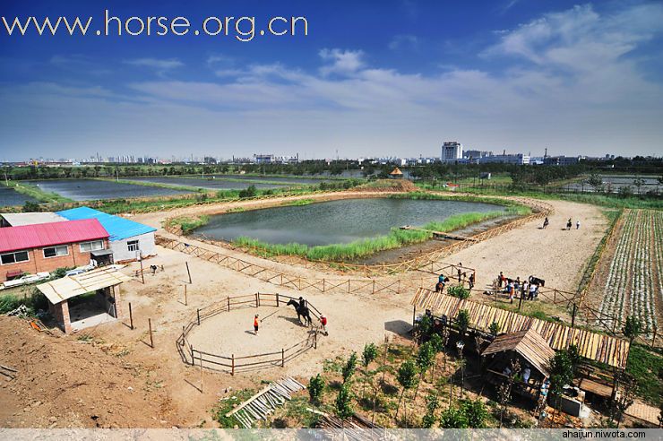 天津骑马者的乐园