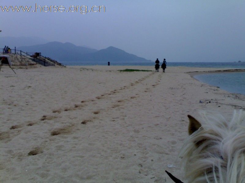 4.23，深圳6日，南海逐浪，马战两观！