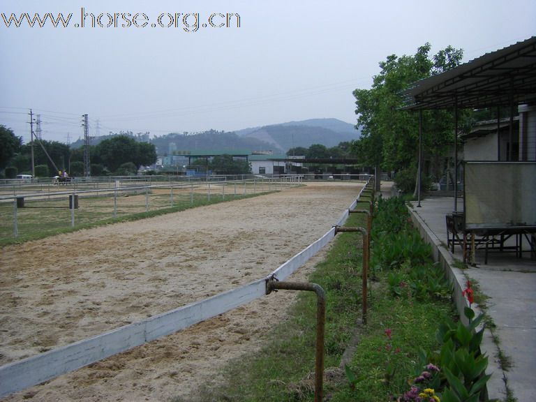 5月3日東莞大朗大有園騎馬日記
