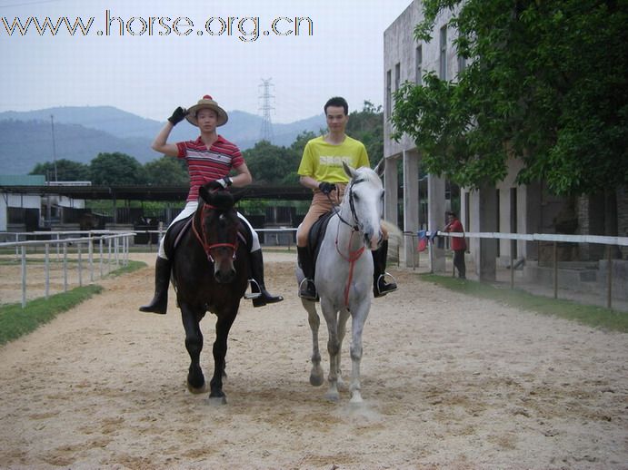5月3日東莞大朗大有園騎馬日記