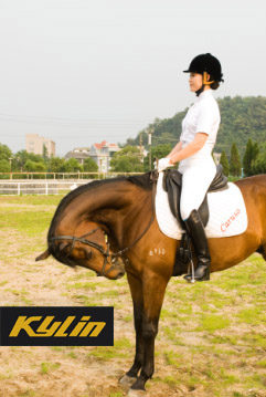 KYLIN麒麟马术盔--精彩图片