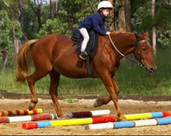 PLEASE WEAR A RIDING HELMET WHILE RIDING