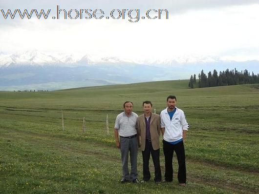 [推荐]2009年伊犁天马国际旅游节距开幕还有12天