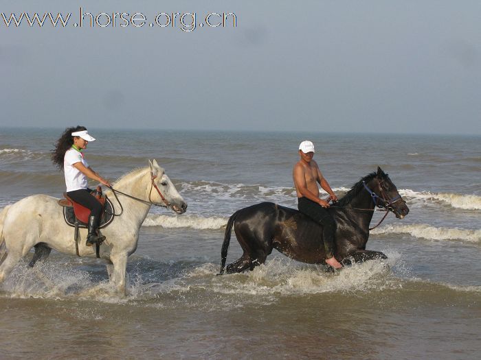 马蹄踏处浪花起！