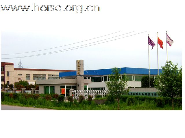 剑鹏公司实景拍摄