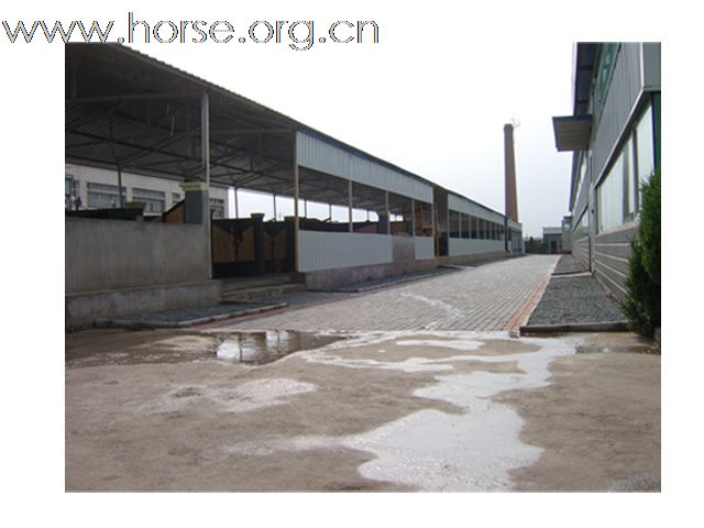 剑鹏公司实景拍摄