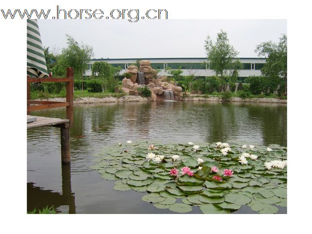 剑鹏公司实景拍摄