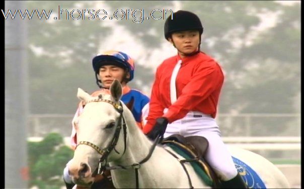 香港賽馬會儀仗馬女隊員阿怡