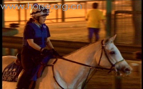 香港賽馬會儀仗馬女隊員阿怡