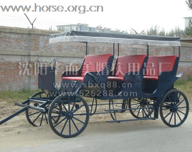 皇家马车 旅游马车