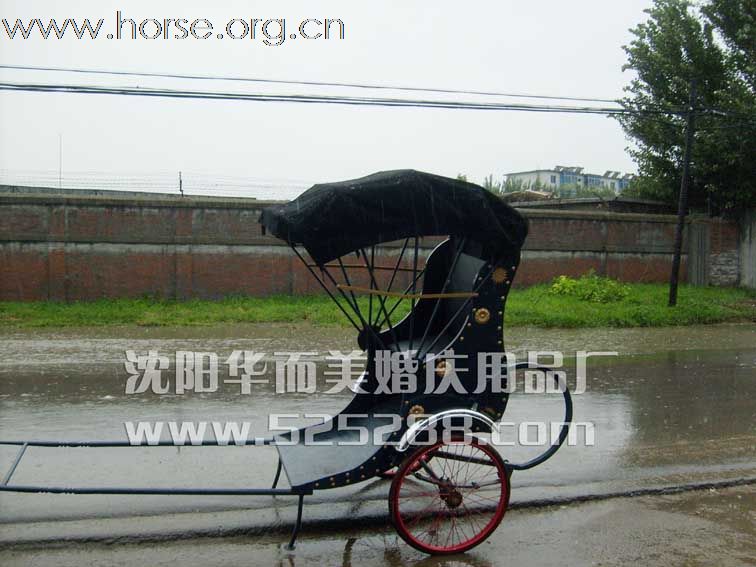 皇家马车 旅游马车