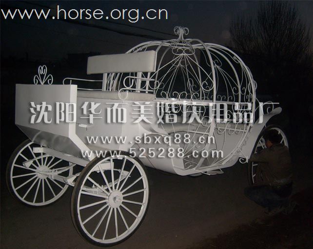 皇家马车 旅游马车