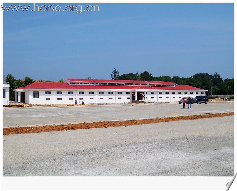[贴图]全运会现代五项用马匹已入住烟台养马岛