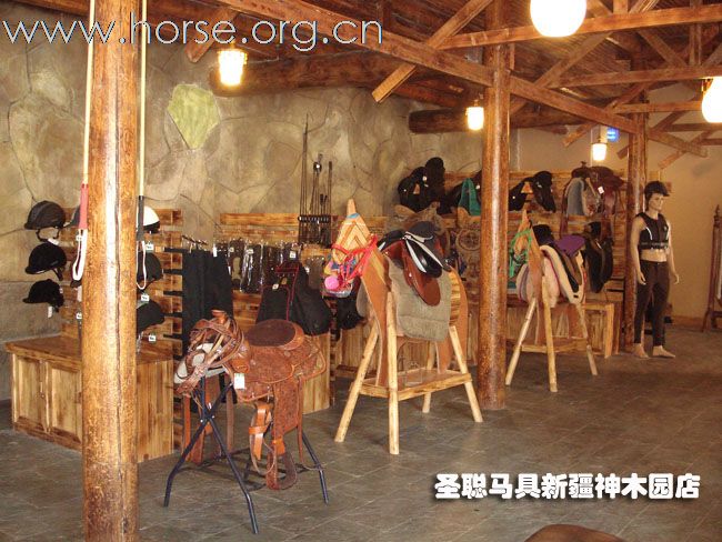 亲历顶着暴乱恐怖隆重召开的新疆马业协会成立大会