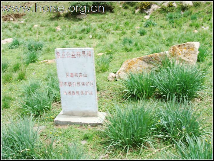 [贴图]山丹军马场归来