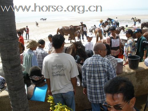 2009.07 在泰國–華欣的FEI 國際耐力賽