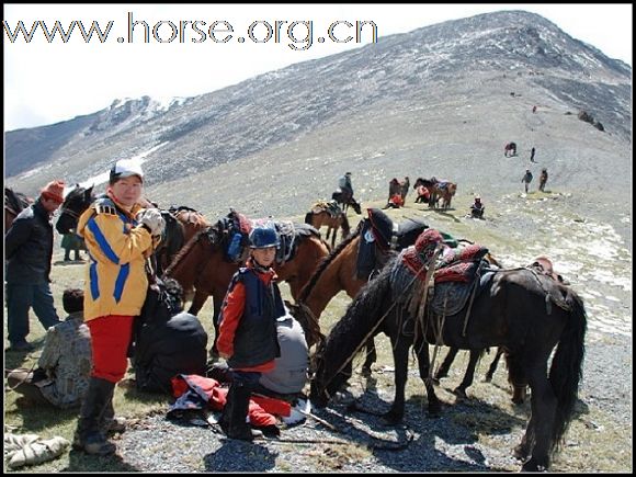 成都马主协会和上海马友一起去天山穿越记录