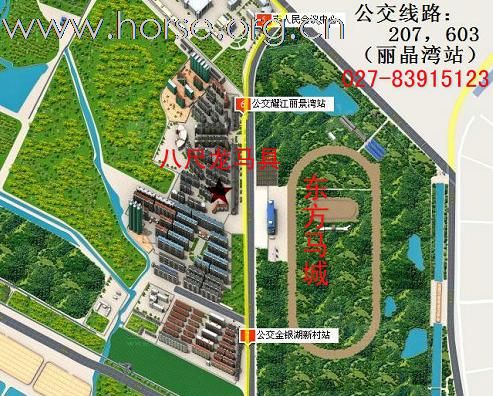 华中马具第一店