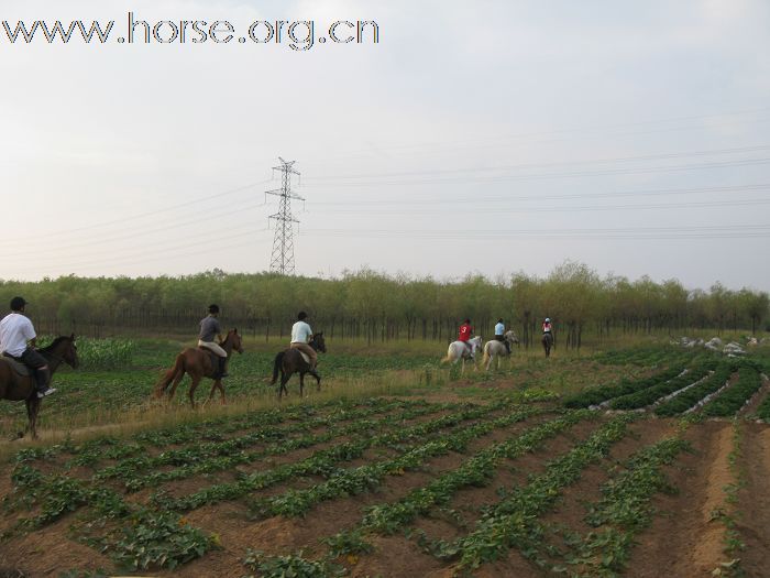 登程马术俱乐部下午休闲骑马日