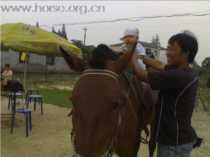 骑马要从小培养