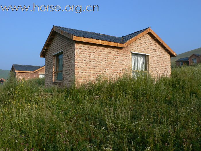 青岛马友2009坝上草原传奇之旅精美图片展