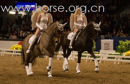 瑞典Goteborg Horse Show 歌登堡馬術比賽CSI5*