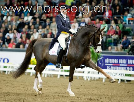 瑞典Goteborg Horse Show 歌登堡馬術比賽CSI5*