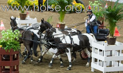 瑞典Goteborg Horse Show 歌登堡馬術比賽CSI5*