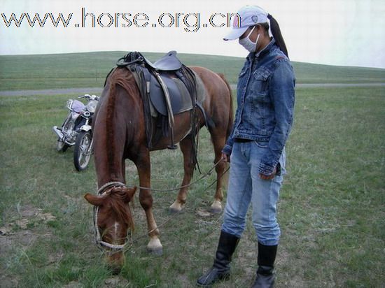 內蒙古的一戶養馬人家 ~ 白音錫勒牧場