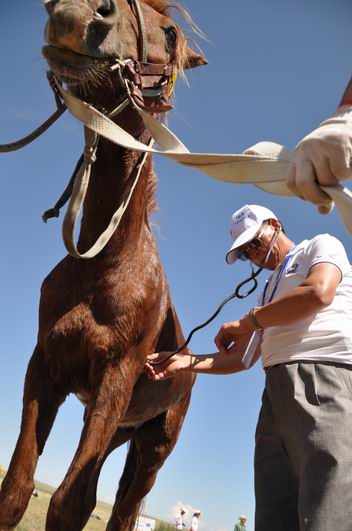 2009锡林格勒首届马术耐力赛掠影1