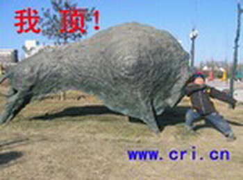 骑马的乐趣与好处