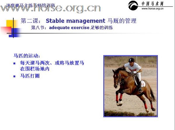 中国速度赛练马师培训讲义