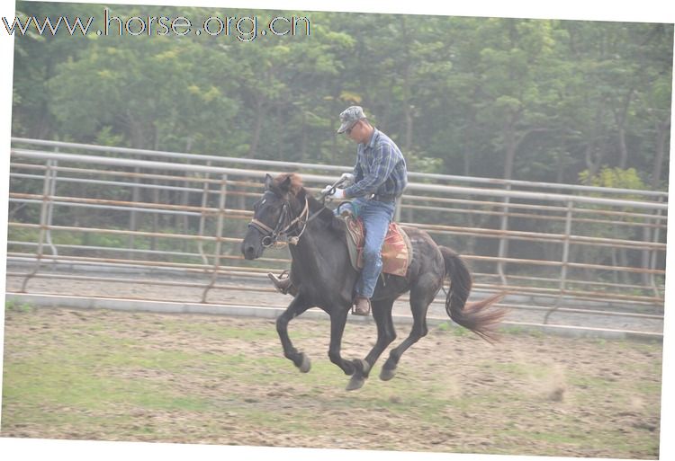 江蘇馬友簡介及 騎馬照片~~持續增加中