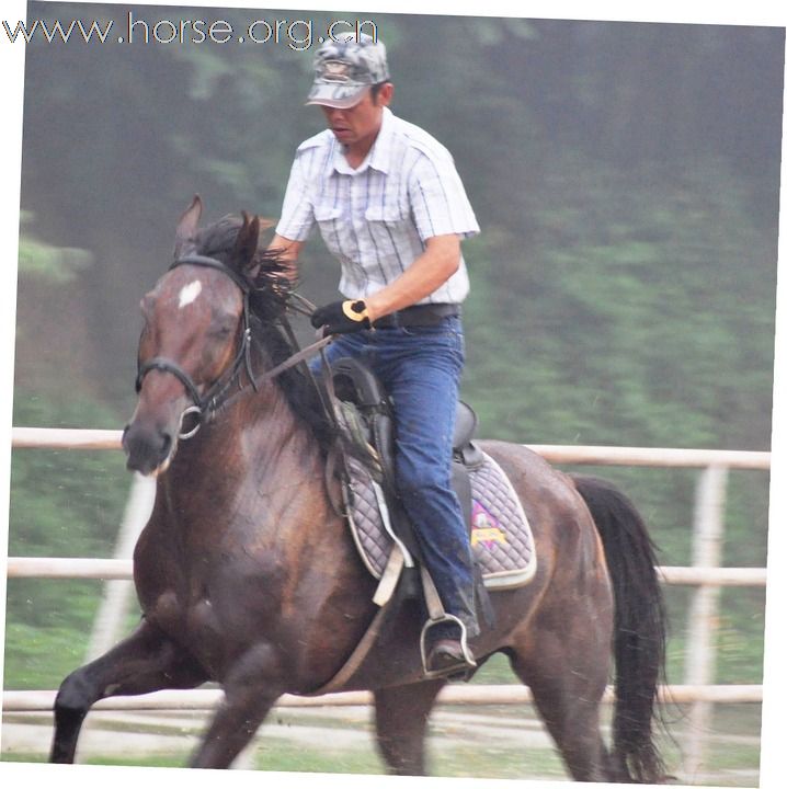 江蘇馬友簡介及 騎馬照片~~持續增加中