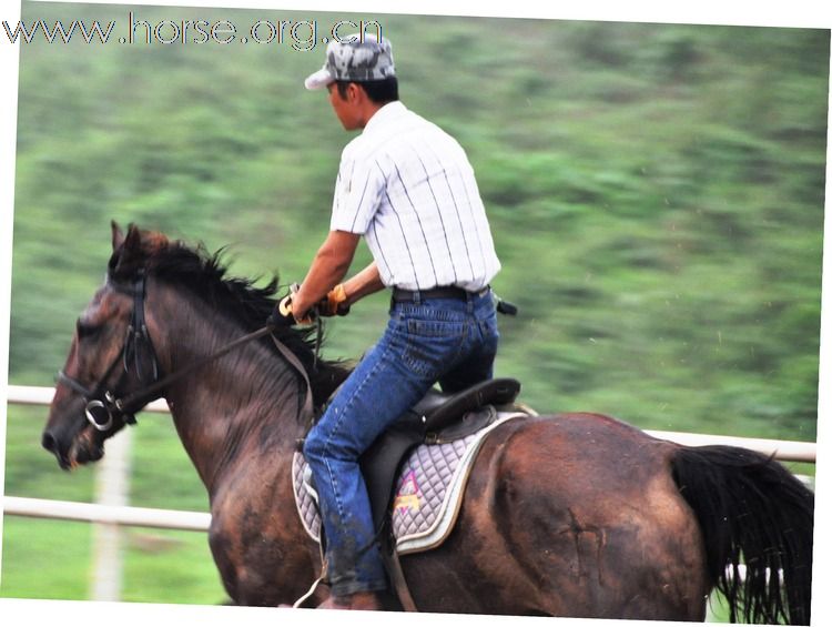 江蘇馬友簡介及 騎馬照片~~持續增加中