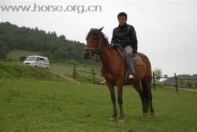 关山牧场新马，发PP 配视频  每帖都不一样