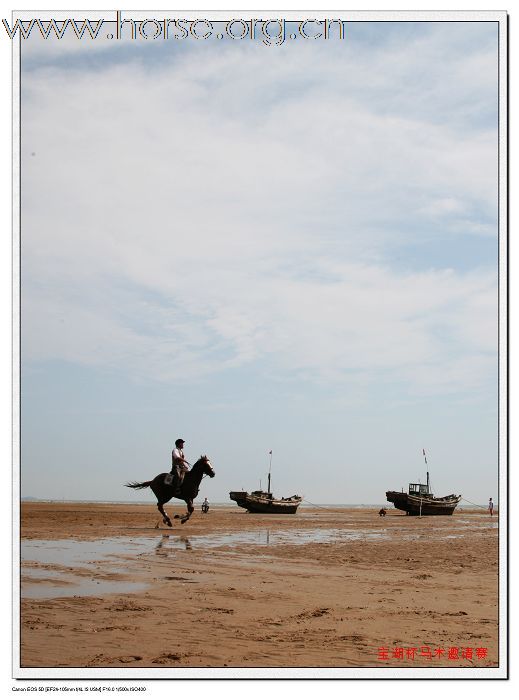 青岛宝湖杯宝湖海滩，绕桶，速度 赛照片