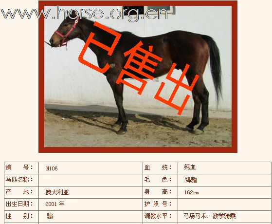 如下纯血马已售出