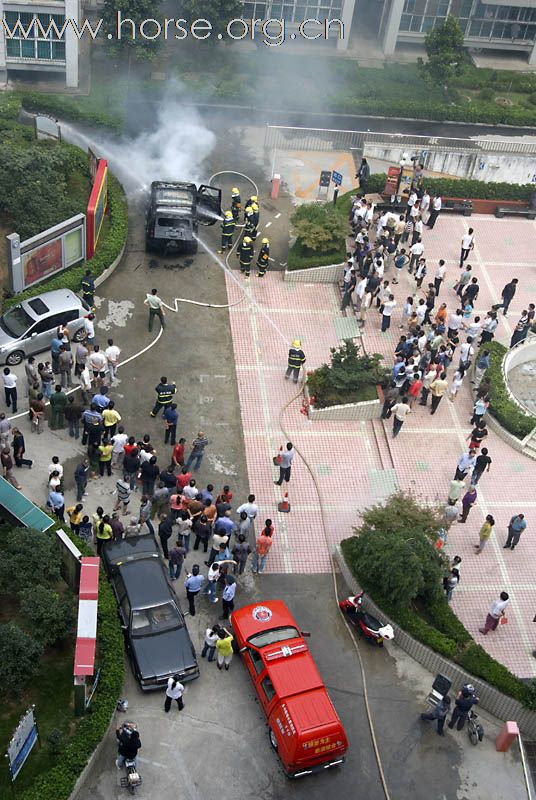 驾马迎亲，结果价值百万的马被烧死了 多图