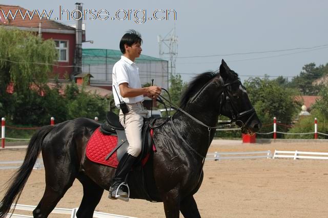 青岛凤凰马术俱乐部总教练梁勇风采