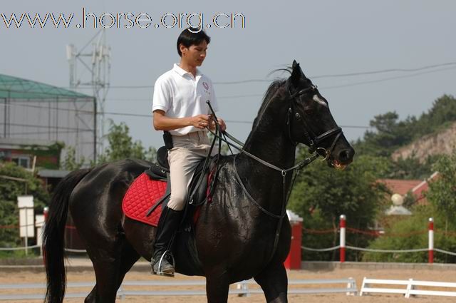 青岛凤凰马术俱乐部总教练梁勇风采