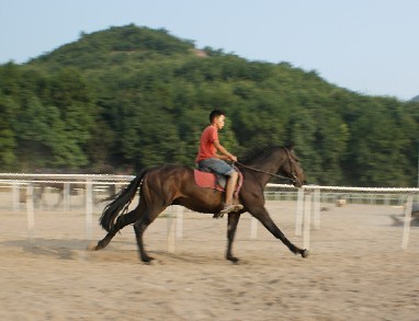 好马